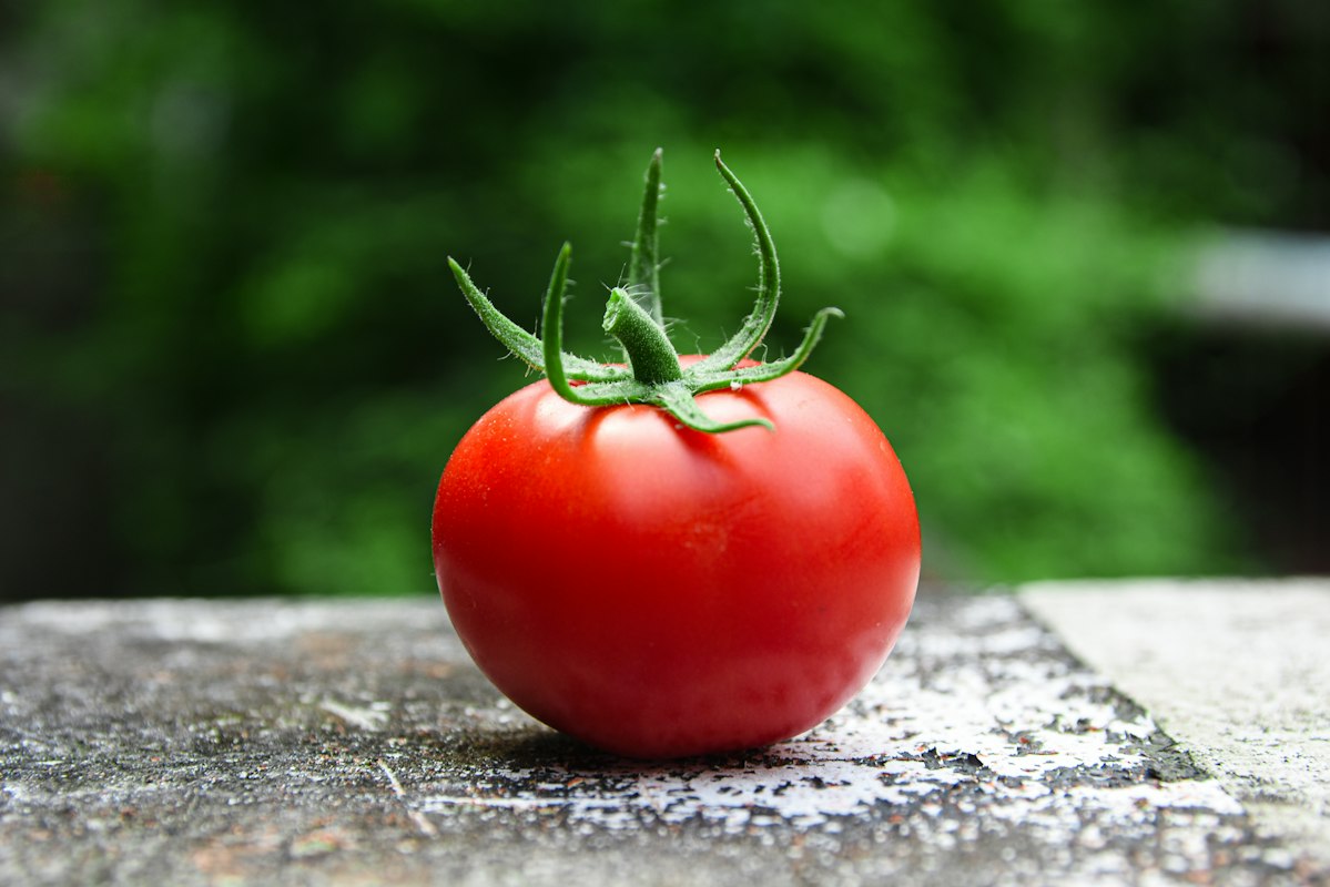 Beeren mit Antioxidantien